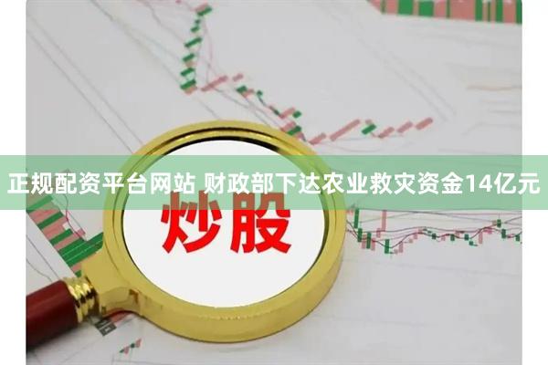 正规配资平台网站 财政部下达农业救灾资金14亿元