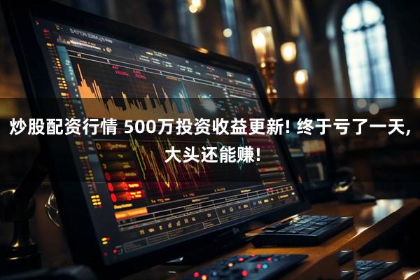 炒股配资行情 500万投资收益更新! 终于亏了一天, 大头还能赚!